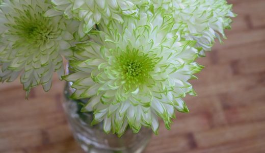 つるおか工務店の評判・口コミは良い？悪い？坪単価や平屋の特徴、耐震性・耐火性まで完全網羅！