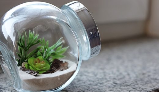 ベルクハウスの評判・口コミは良い？悪い？坪単価や平屋の特徴、耐震性・耐火性まで完全網羅！