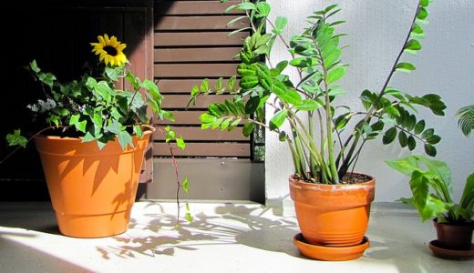 住む人に優しい「健康住宅」とは？プロ目線でメリット・デメリット、基礎知識を解説！