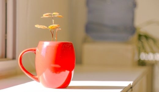 一条工務店新築一戸建て-建売分譲住宅の評判・口コミ【2020年版】オプションやアフターサービスの充実度は？