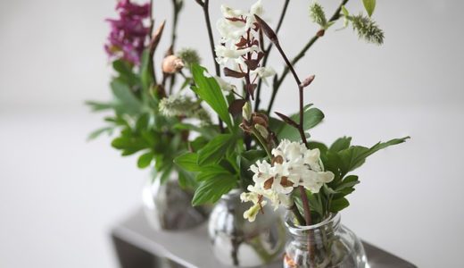 大熊工業の評判・口コミは良い？悪い？坪単価や平屋の特徴、耐震性・耐火性まで完全網羅！