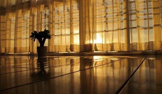 シロアリによる戸建てへの被害の影響は？駆除費用や事前の予防・対策方法も解説