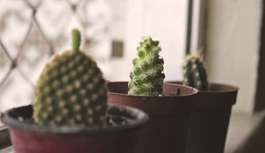 ZEH住宅とは？メリット・デメリットや補助金制度・認定基準までわかりやすく解説！