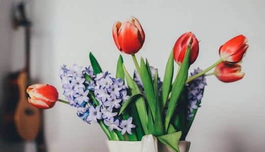 日本ハウスホールディングスの評判・口コミは良い？悪い？坪単価や平屋の特徴、耐震性・耐火性まで完全網羅！