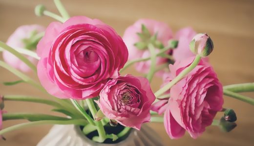 スウェーデンハウスの評判・口コミは良い？悪い？坪単価や平屋の特徴、耐震性・耐火性まで完全網羅！